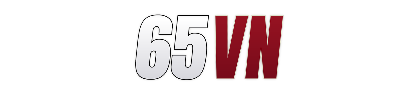 65vn logo
